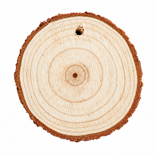 Natuurlijke houten boomschijf hanger voor persoonlijke gravure